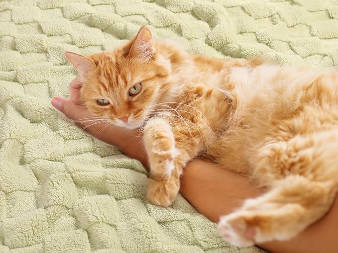 Sherpa Baby Blanket for Girls Toddlers Fleece Fluffy Fuzzy Blanket for Baby,Soft Warm Cozy Fleece Blanket,Receiving Blanket for Infant Newborn (green, 30 * 40, Checkered)