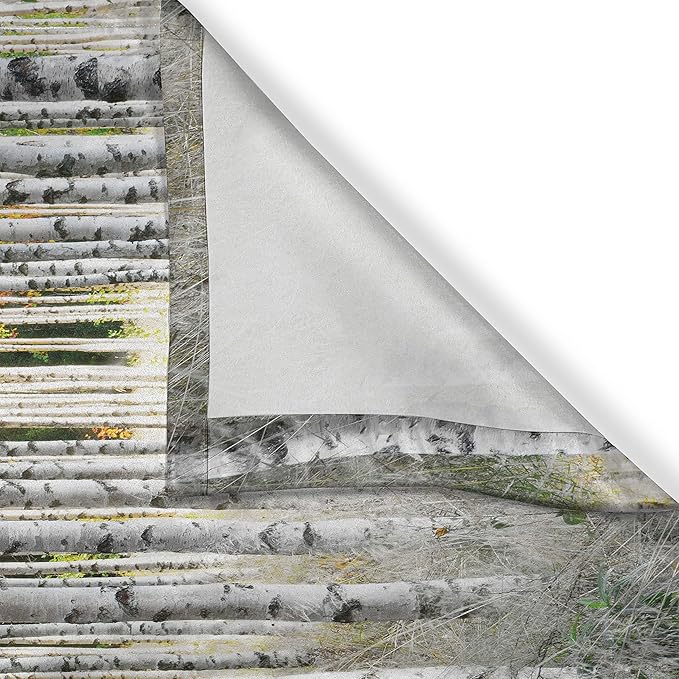 Ambesonne Birch Tree Kitchen Curtains, Peaceful Late Summer Woodland Trunks Leaves Foliage Serene Tranquil, Window Drapes 2 Panel Set for Kitchen Cafe Decor, 55" x 39", Grey Green