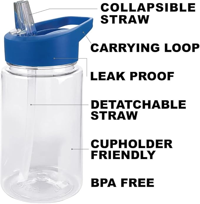 LOGOVISION Sesame Street Kids Tritan Plastic Water Bottle with Straw Lid and Handle, Reusable Tumbler for Toddlers, Unisex for Girls and Boys, 12oz, Big Cookie Monster