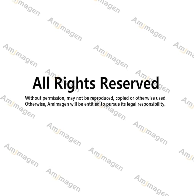 Forest Animals Baby Wall Stickers - Elephant Giraffe Lion Monkey Sloth Tocan Wall Decals - Baby Nursery Kids Room Daycare Playroom Classroom Wall Decor