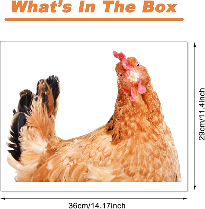 Chicken Wall Decals Peel and Stick Funny Hen Wall Sticker Funny Wall Decals for Kitchen Bedroom Playroom Game Room Farm Barn Funny Stickers Gift for Room Decor