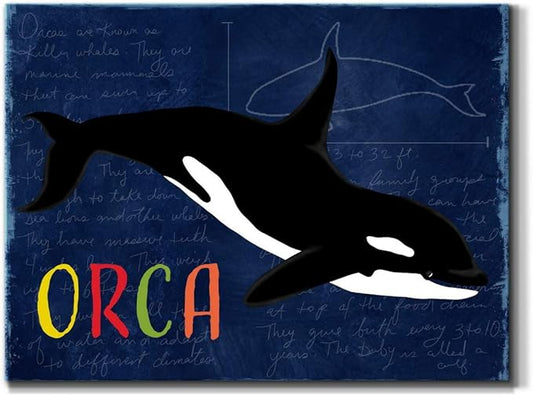 Renditions Gallery Canvas Animal Wall Art Modern Decorations Paintings Colorful Playful Orca Abstract Black & White Vibrant Artwork Canvas Prints for Kids Bedroom Nursery - 18"x27" LT33