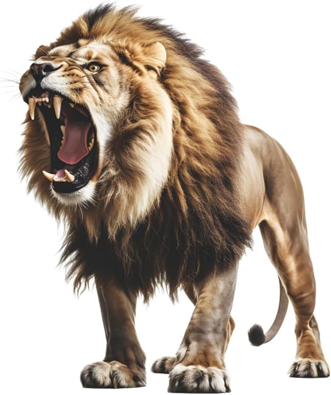 Large Fierce Lion Wall Decal Cool Cool Tropical Animal Wall Stickers 22" × 25" Peel and Stick Lion Wall Art Sticker for Kids Room Playroom Classroom Nursery Decor