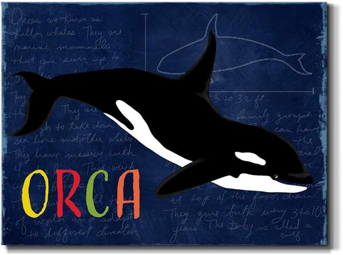 Renditions Gallery Canvas Animal Wall Art Modern Decorations Paintings Colorful Playful Orca Abstract Black & White Vibrant Artwork Canvas Prints for Kids Bedroom Nursery - 24"x36" LT33