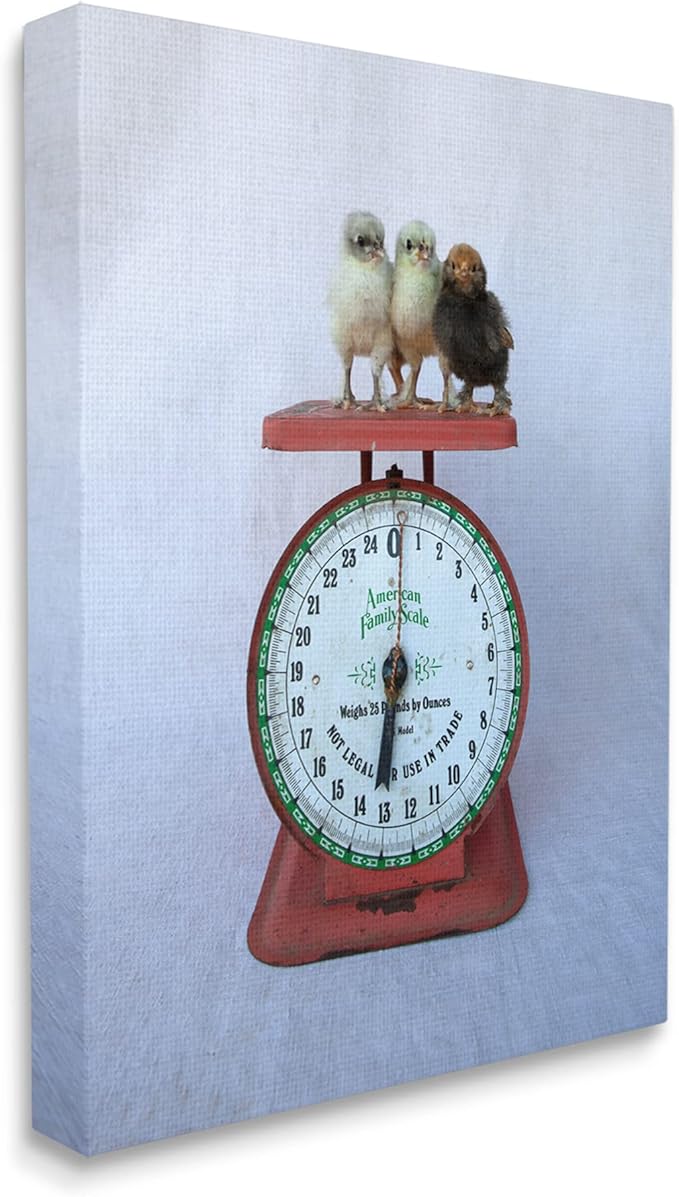 Stupell Industries Country BaBy Chick Birds on Vintage Kitchen Scale Canvas Wall Art, Design By Tania Soderman