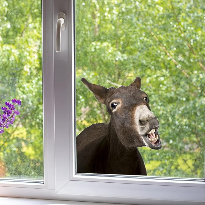 Funny Donkey Wall Art Sticker Realistic Donkey Face Wall Decals Peel and Stick Removable Vinyl Donkey Sticker Gift for Friends Bathroom Kids Bedroom Playroom Art Room Wall Art Decor