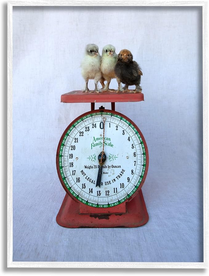 Stupell Industries Country BaBy Chick Birds on Vintage Kitchen Scale Framed Wall Art, Design By Tania Soderman