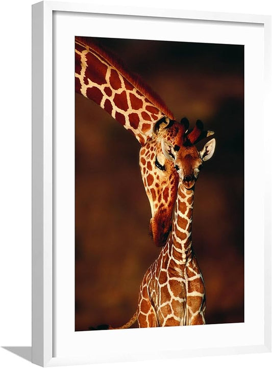 Framed Wall Art Prints Giraffe and Baby by Lantern Press, Animals Decor, 16" x 24", White Frame with White Mat