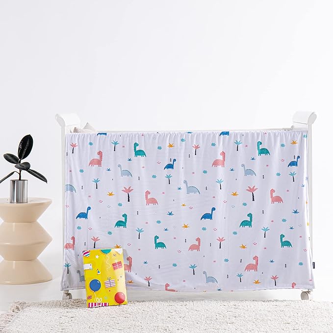 Baby Blanket for Boys Girls Super Soft Blanket,Fluffy Warm Lightweight Baby Receiving Blankets,Double Layer with Dotted Backing for Toddler Nursery (Dinosaur, 30 * 40inch)