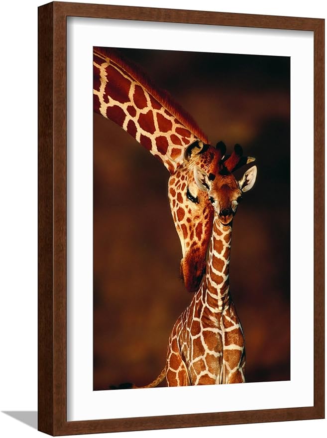 Framed Wall Art Prints Giraffe and Baby by Lantern Press, Animals Decor, 12" x 18", Espresso Frame with White Mat