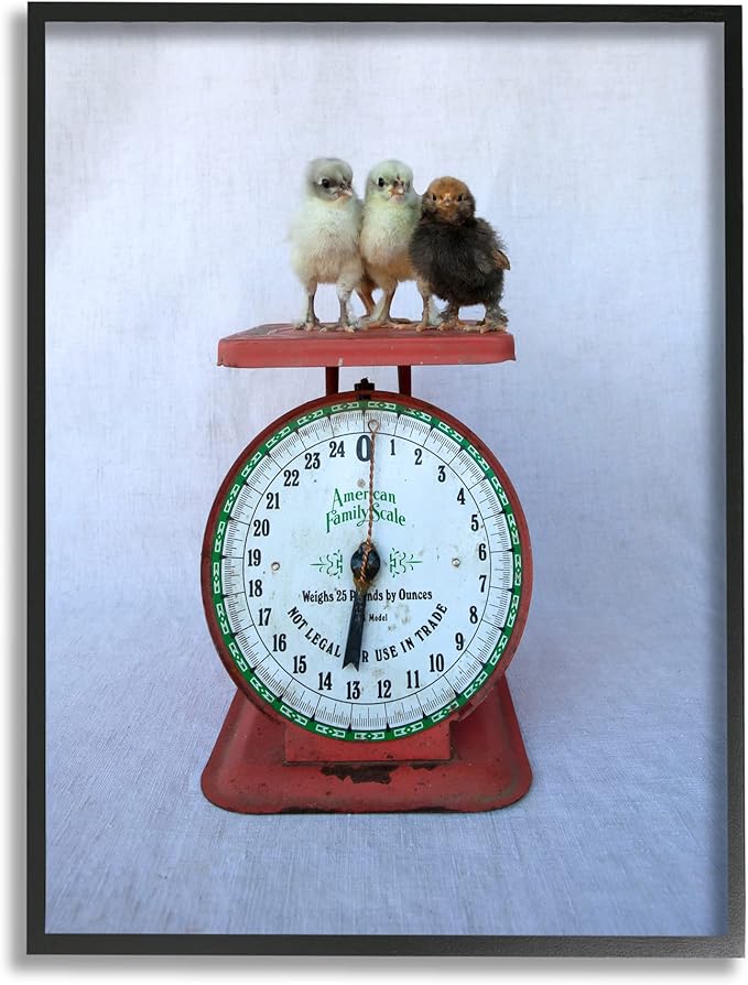 Stupell Industries Country BaBy Chick Birds on Vintage Kitchen Scale Framed Wall Art, Design By Tania Soderman