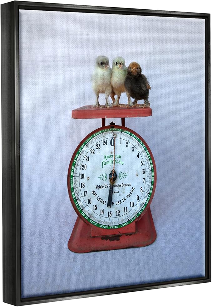 Stupell Industries Country BaBy Chick Birds on Vintage Kitchen Scale Floating Framed Wall Art, Design By Tania Soderman