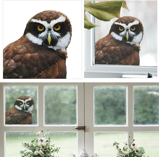 3D Gazing Owl Animal Window Stickers Removable Wall Stickers Peel and Stick Wall Art Decoration Kids Nursery Baby Bedroom Living Room Fun Decoration