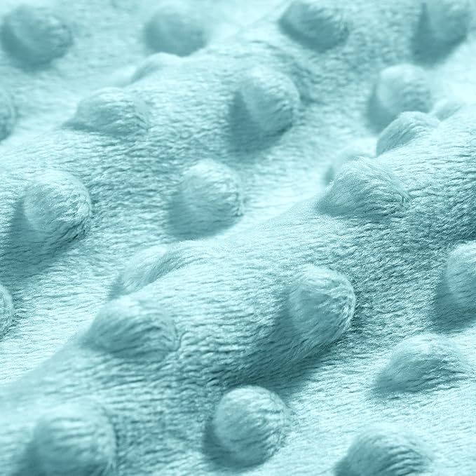 DaysU Silky Micro Soft Plush Baby Blankets for Boys with Print Animal Pattern and Soothing Raised Dots, Double Layer Bed Throws for Toddler Cot, Dinosaur, Aqua Blue, 50x60 Inches
