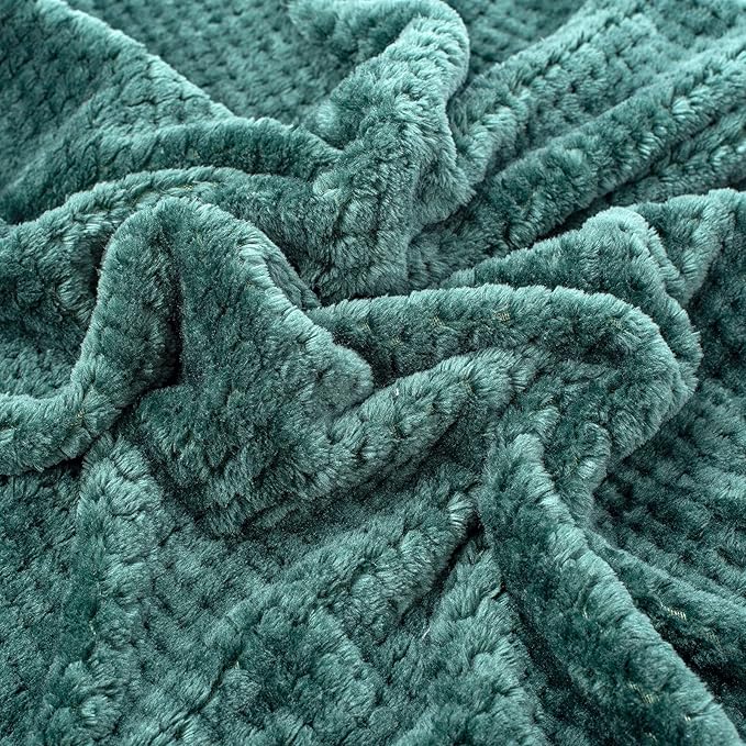 Fuzzy Blanket or Fluffy Blanket for Baby, Soft Warm Cozy Coral Fleece Toddler, Infant or Newborn Receiving Blanket for Crib, Stroller, Travel, Decorative (28Wx40L, XS-Black Green)