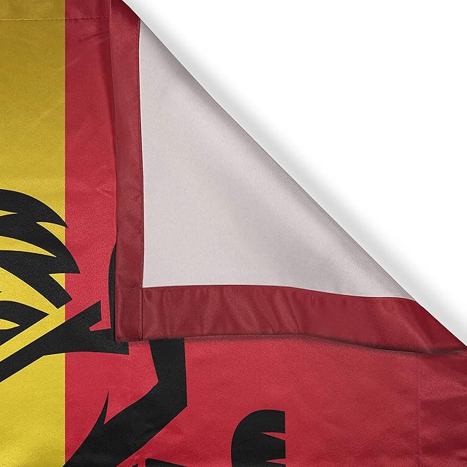 Ambesonne Rasta Kitchen Curtains, Judah Lion a Rastafari Flag Jungle Reggae Theme Art Vivid Colorful Print, Window Drapes 2 Panel Set for Kitchen Cafe Decor, 55" x 39", Yellow Red